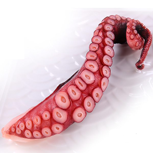 FROZEN BOILED OCTOPUS LEG