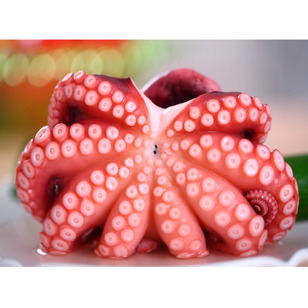 FROZEN BOILED OCTOPUS